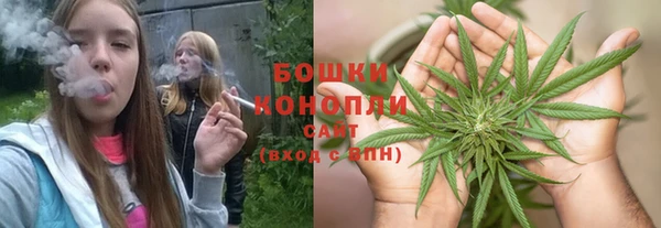 PSILOCYBIN Лихославль