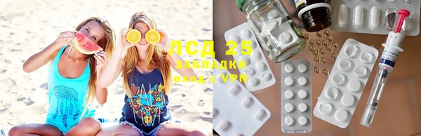 PSILOCYBIN Лихославль