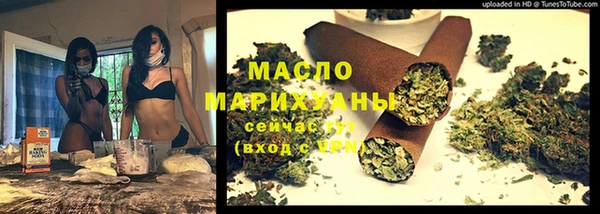 гидра Майский