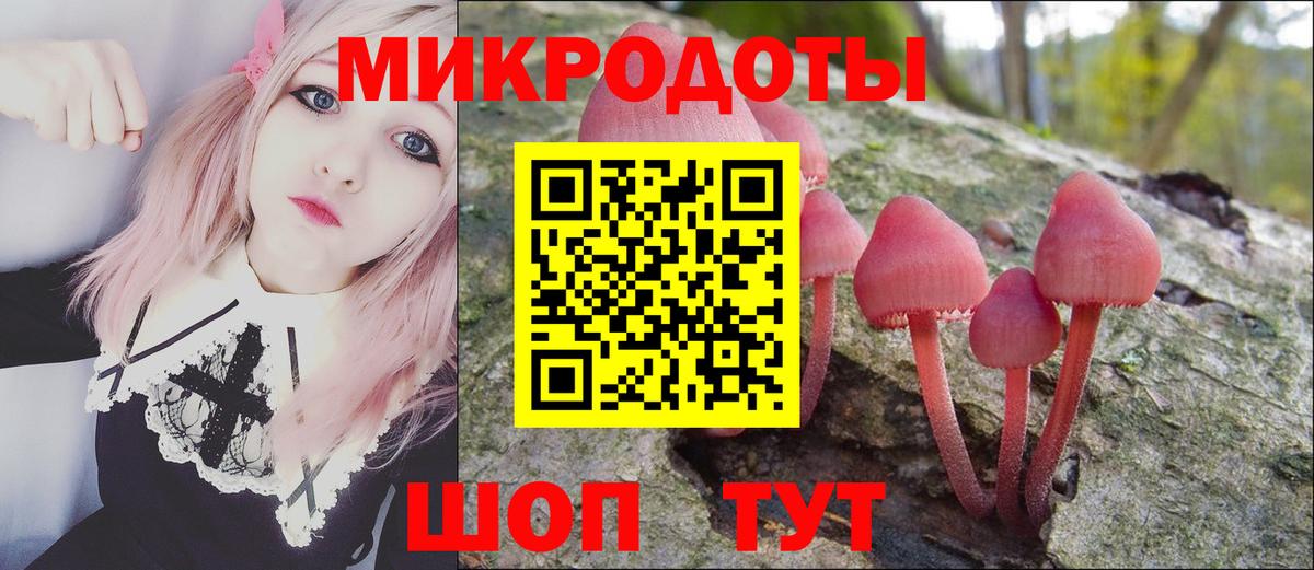 Балашиха  Псилоцибиновые грибы Psilocybine cubensis  Вход с VPN 